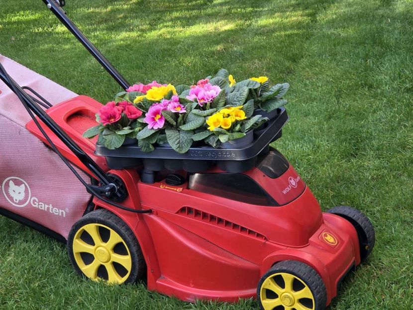 Rasen startet zum kalendarischen Frühjahr