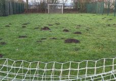 Der Maulwurf ist schon wieder aktiv