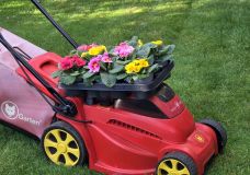 Rasen startet zum meteorologischen Frühjahr