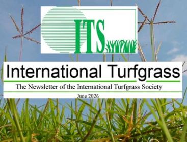 ITS-Newsletter mit Berichten und Forschungsergebnissen