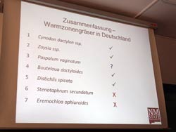Einschätzung zur Verwendung von Warmzonengräsern in Deutschland