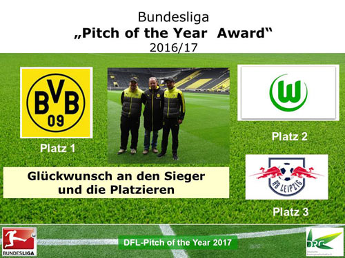 Pitch of the Year Award 2017