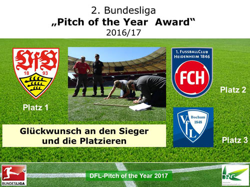 Pitch of the Year Award 2017