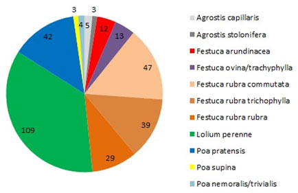 Portfolio der Rasenzuchtsorten in der RSM Rasen 2021 (Grafik: Nonn)