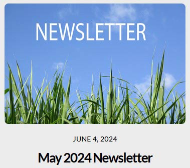 ITS-Newsletter 