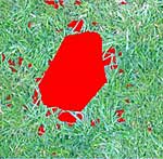 Pixelgenaue Kennzeichnung (rot) der erfassten Lücken 