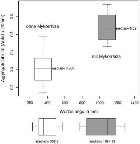 Aggregatbildung und Wurzellängen in Abhängigkeit von Mykorrhizabehandlung