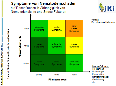 Symptome von Nematodenschäden