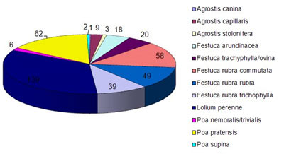 Anzahl der in der RSM Rasen 2011 als verfügbar aufgeführten Sorten je Art 