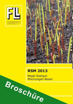 Die neue Broschüre RSM 2013