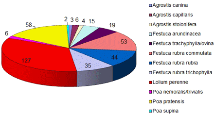 In der RSM Rasen 2013 aufgeführte Gräserarten und Anzahl der geprüften Sorten