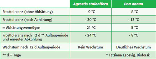 Tab. 1: Frosttoleranz von Agrostis stolonifera im Vergleich zu Poa annua;  (Quelle: Tatsiana Espevig, Bioforsk)