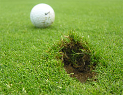 Beim kurzen Anspiel des Golf-Grüns mit dem Wedge entstehen je nach Bodenbedingungen deutliche Verletzungen der Rasennarbe durch Pitchmarken oder “Ball Marks„