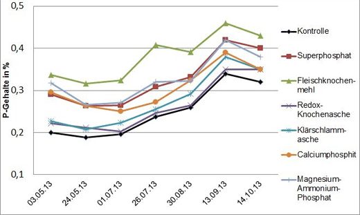 Phosphorgehalte im Schnittgut (% i.TM) in der Vegetationsperiode 2013.