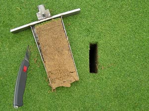 Bodenausstich mit Profilspaten auf Golf-Grün.