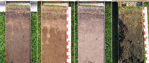 Bodenprofile von Golf-Grüns mit unterschiedlichen Bodeneigenschaften.