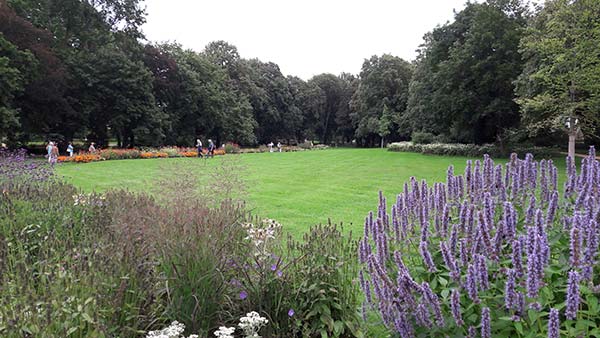 Parkrasen mit Sommerbepflanzung im Friedrich-Ebert-Park