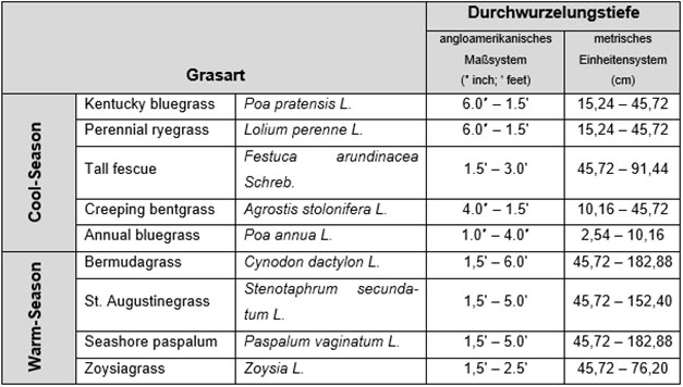 Durchschnittliche Wurzeltiefe von Cool- und Warm-Season-Gräsern unter normaler Beanspruchung