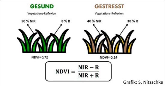 Schematische Darstellung des Reflexionsverhaltens von gesunder und gestresster Rasennarbe mit Formel zur Ermittlung des NDVI-Wertes, dabei ist R = Reflexionsgrad im roten Bereich und NIR = Reflexionsgrad im nahen Infrarotbereich (NITZSCHKE et al., 2021).