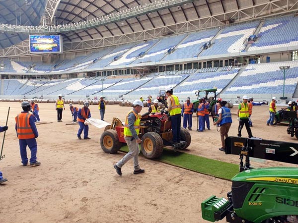 Verlegung der ersten Großrolle des Platinum TE Paspalum-Rasens in einem WM-Stadion in Katar 2022.