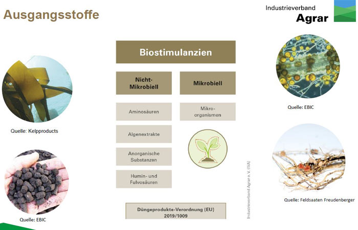 BDie Ausgangsstoffe für Biostimulanzien können vielfältig sein.