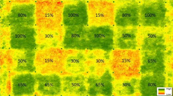 Einsatz der Drohne zur Auswertung einer Defizitberegnung mit farbverstärkten Nahinfrarotbildern (NIR) von Agrostis stolonifera-Rasenflächen.