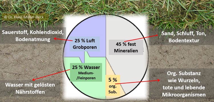 Schematische Darstellung der Bodenzusammensetzung eines Wurzelhorizontes unter Rasen.