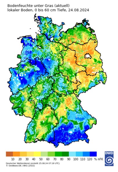 Bodenfeuchte (nFK) unter Gras in einer Tiefe von 0-60 cm in Deutschland am 24.08.2024